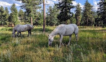 64 Elk Horn Ct, Bailey, CO 80421