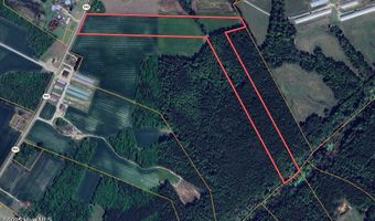 00 Nc N 903, Albertson, NC 28508