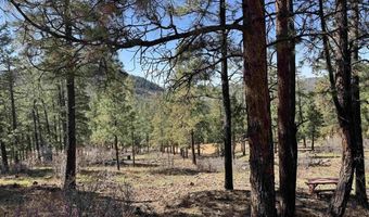 1142 Deer Ridge Dr, Bayfield, CO 81122