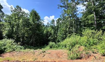 7 Winter Hawk Dr 3, Arden, NC 28704