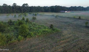 1050 Jolene Rd, Basile, LA 70515