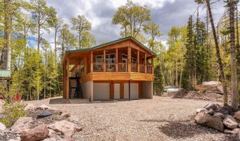 310 N Scenic Dr, Brian Head, UT 84719