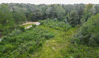 2778 SW Big Creek Dr, Bogue Chitto, MS 39629