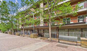 555 E Durant Ave 4-E, Aspen, CO 81611