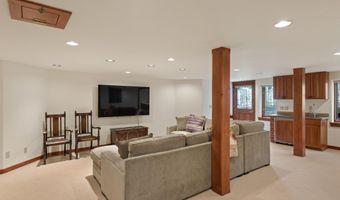 9676 Castle Creek Rd, Aspen, CO 81611