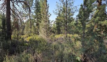 Cathy Way lot 21-23, Beatty, OR 97621