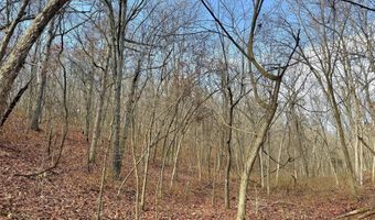 Farm Rd 1187 Lc, Ash Grove, MO 65604