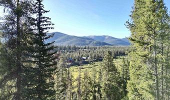 110 Pine Tree Ln, Almont, CO 81210