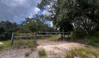 3109 US Hwy 129, Bell, FL 32619