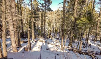 45 And 46 Sacramento Dr, Angel Fire, NM 87710