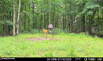 1271 A Tunnel Ridge Rd, Argillite, KY 41121
