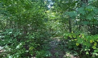 639 Horace Way Rd, Albany, VT 05820