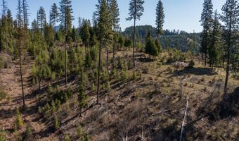 NKA 262 Ac N Side Rd, Calder, ID 83808