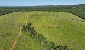 D4289 Road, Antlers, OK 74536