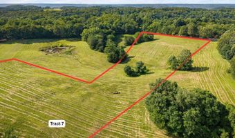 0 Willow Grove Hwy, Allons, TN 38541