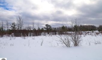 6412 Lora Bette Dr, Alanson, MI 49706