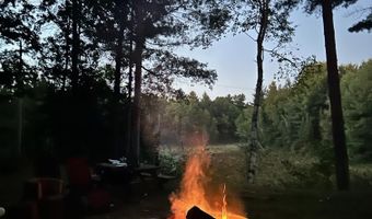 2706 Birchview, Alger, MI 48610