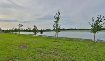 233 MANGROVE SHADE Cir, Apollo Beach, FL 33572