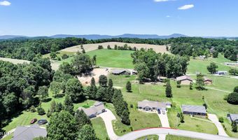 58 Fairview Ridges Dr, Afton, TN 37616
