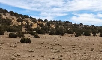 15 County Rd N8641, Concho, AZ 85924