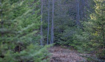 940 Sled Run Trl, Clark Fork, ID 83811