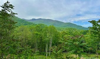 Pumpkin Patch Road, Bakersville, NC 28705