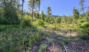 2008 SUMMIT VALLEY Rd Lot F, Addy, WA 99101