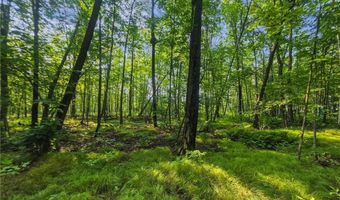 28017 303rd Pl, Aitkin, MN 56431