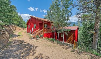153 Wise Rd, Bailey, CO 80421