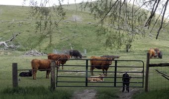 37799 ALDER CREEK Rd, Baker City, OR 97814