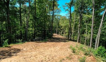 4 Black Rock Trl 4, Andrews, NC 28901