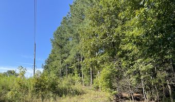 Highway 58, Baskerville, VA 23915