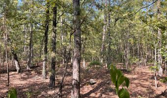 Tract 51 Highway 2, Antlers, OK 74523