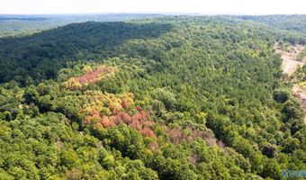 62 Beautiful Ac Toney Dr, Altoona, AL 35952