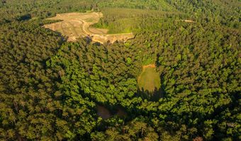 8830 County Road 57, Abbeville, AL 36310
