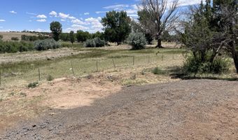 20 Mellon Ln County Road 5099 Ln, Concho, AZ 85924