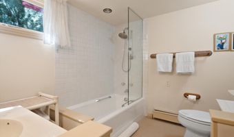 715 W Smuggler St, Aspen, CO 81611