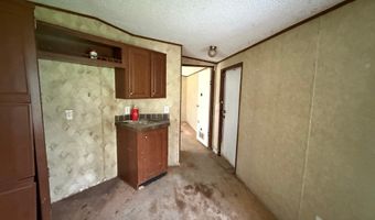 978 OLD MINK FARM Rd, Altoona, AL 35952
