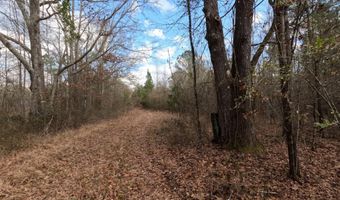 Saint John Road, Braxton, MS 39044