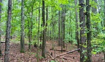 CR 265, Bruce, MS 38915