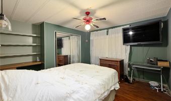411 Palmetto Palm St, Alamo, TX 78516