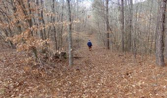 6608 Sand Valley Rd, Attalla, AL 35954