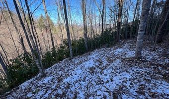 621 Round Top Rd Lot 3B, Almond, NC 28702