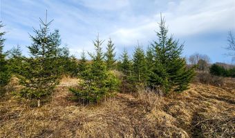 Quigg Hollow Road, Andover, NY 14806