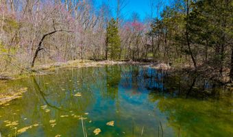 6739 Co Rd W 76-430, Ava, MO 65608