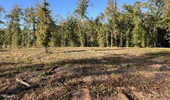 0 Walters Rd . - Lot 4, Barnesville, GA 30204