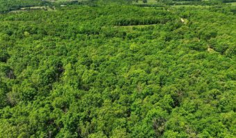 County Road 101, Alton, MO 65606