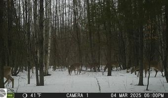 80 X Henry St, Alger, MI 48610