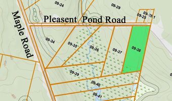 Pleasent Pond Road lot 9, Atkinson, ME 04426