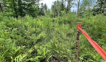1416 Clif Reynolds Rd 3, Cambridge, VT 05444